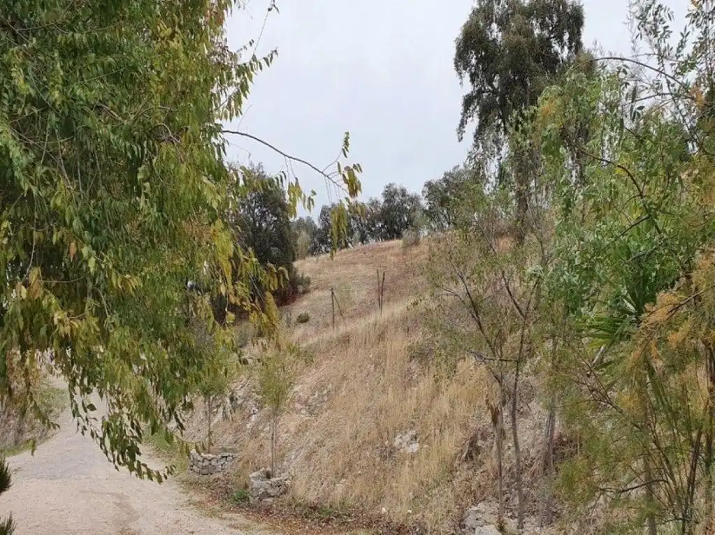 Terrenys i solars en venda a San Benito, imagen 4