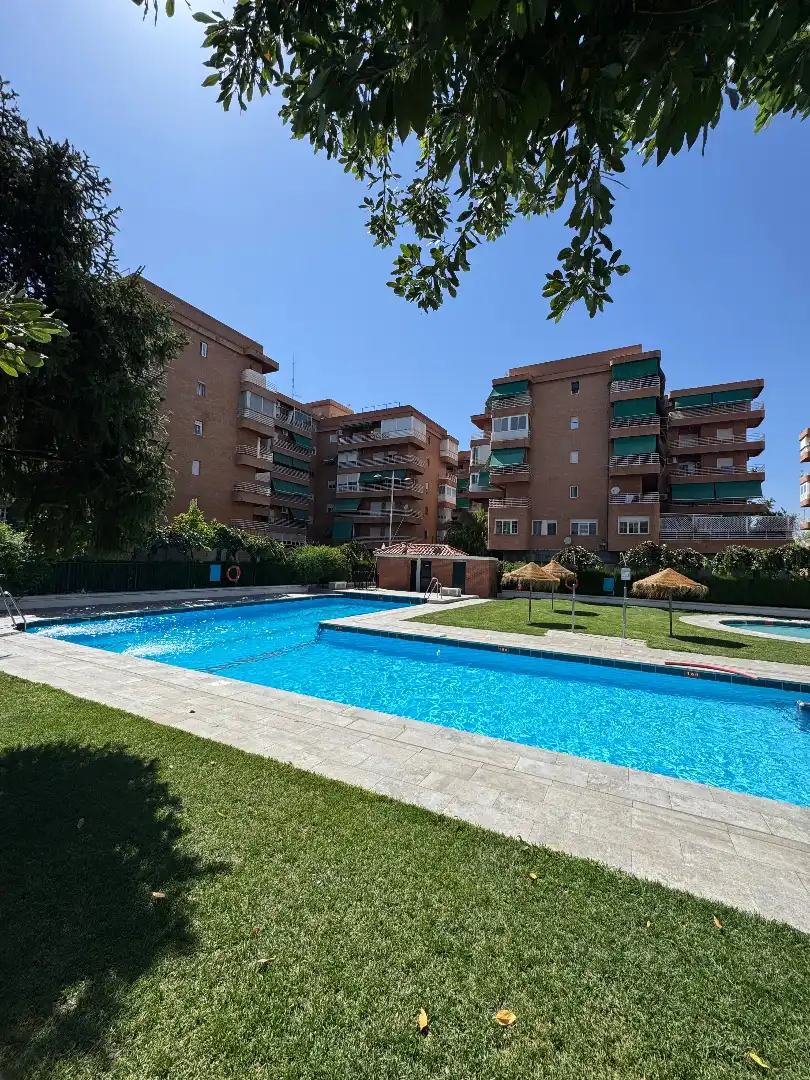 Flat for rent in Barrio de Zaidín