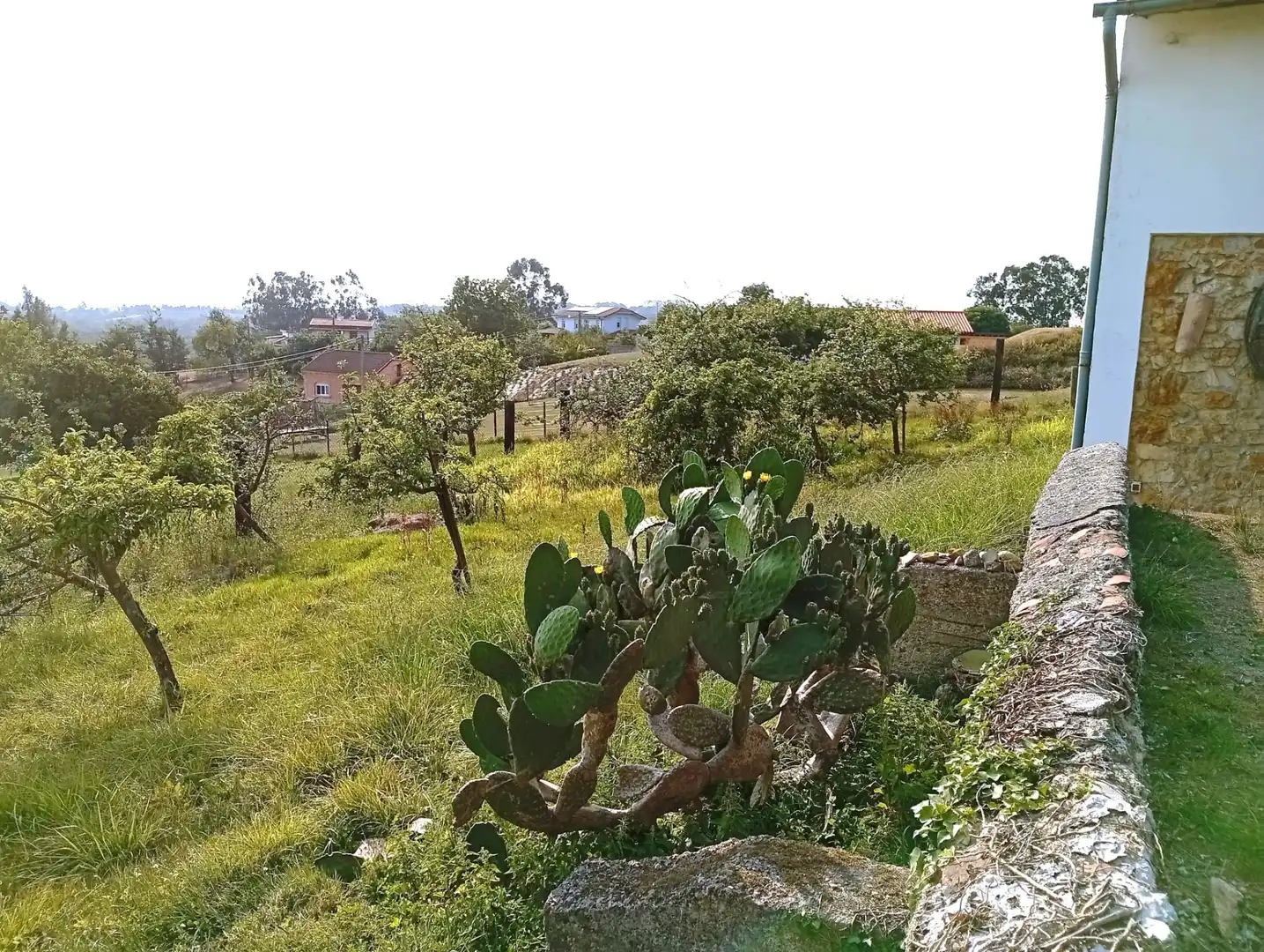 Country homes for sale in Siero  with Heating, Private garden and Parquet flooring