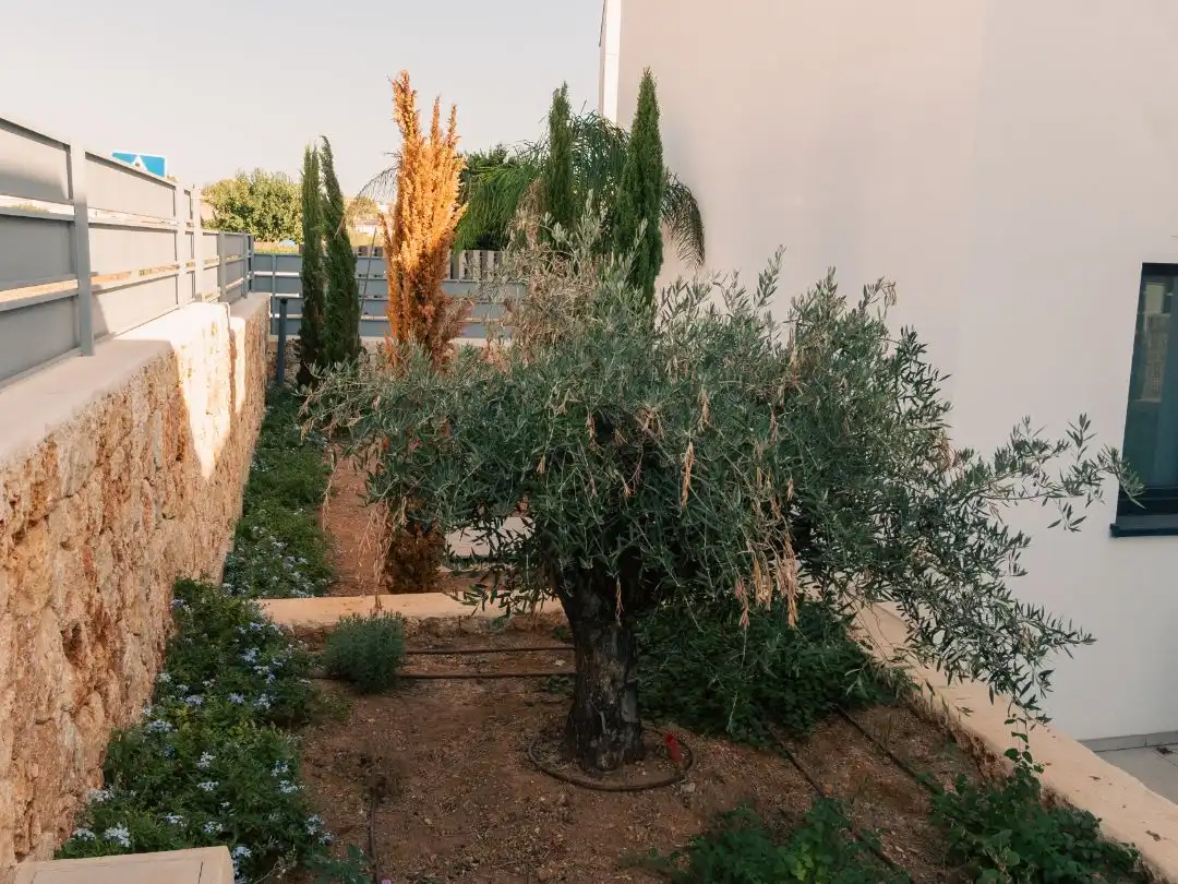 Jardín de Casa o chalet en venta en Marratxí con Aire acondicionado, Terraza y Piscina
