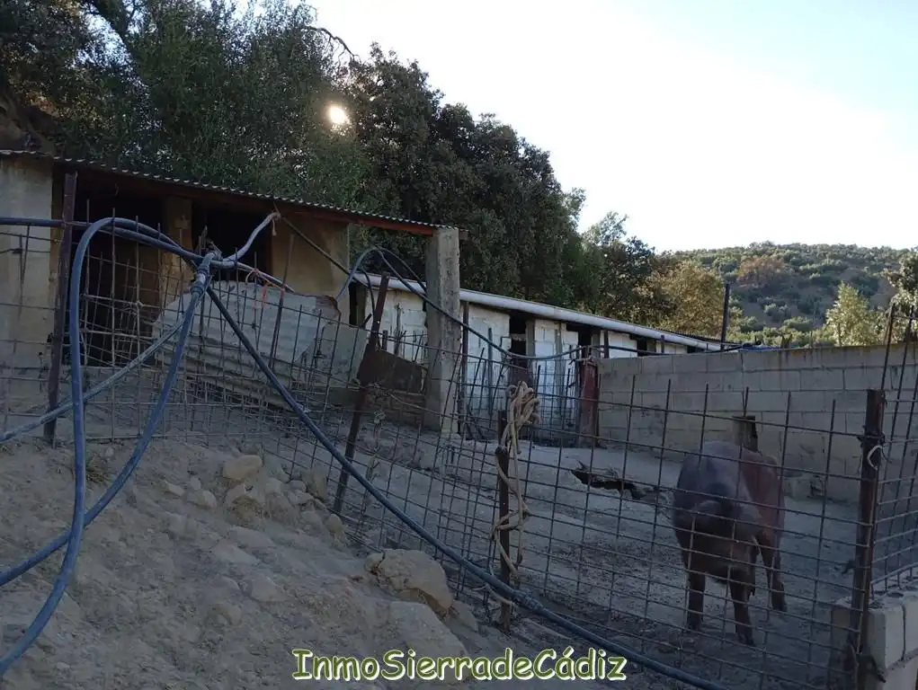 Casa rústica en venda a Paraje Natural Cabañas, imagen 10