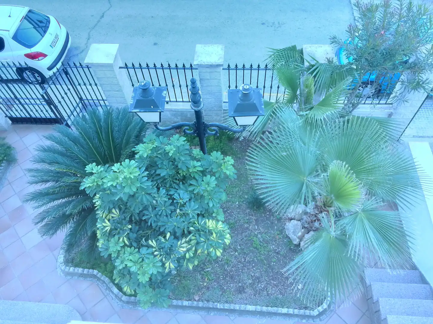 Jardín de Casa o chalet en venta en Prado del Rey con Jardín privado, Terraza y Amueblado