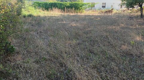 Terreny en venda en SELVA BRAVA, immagine 3
