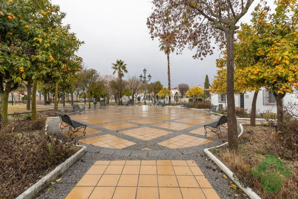 Vista exterior de Casa adosada en venta en Ogíjares con Aire acondicionado, Calefacción y Trastero