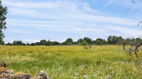 Foto 4 de Residencial en venda a Manacor Centre, Illes Balears