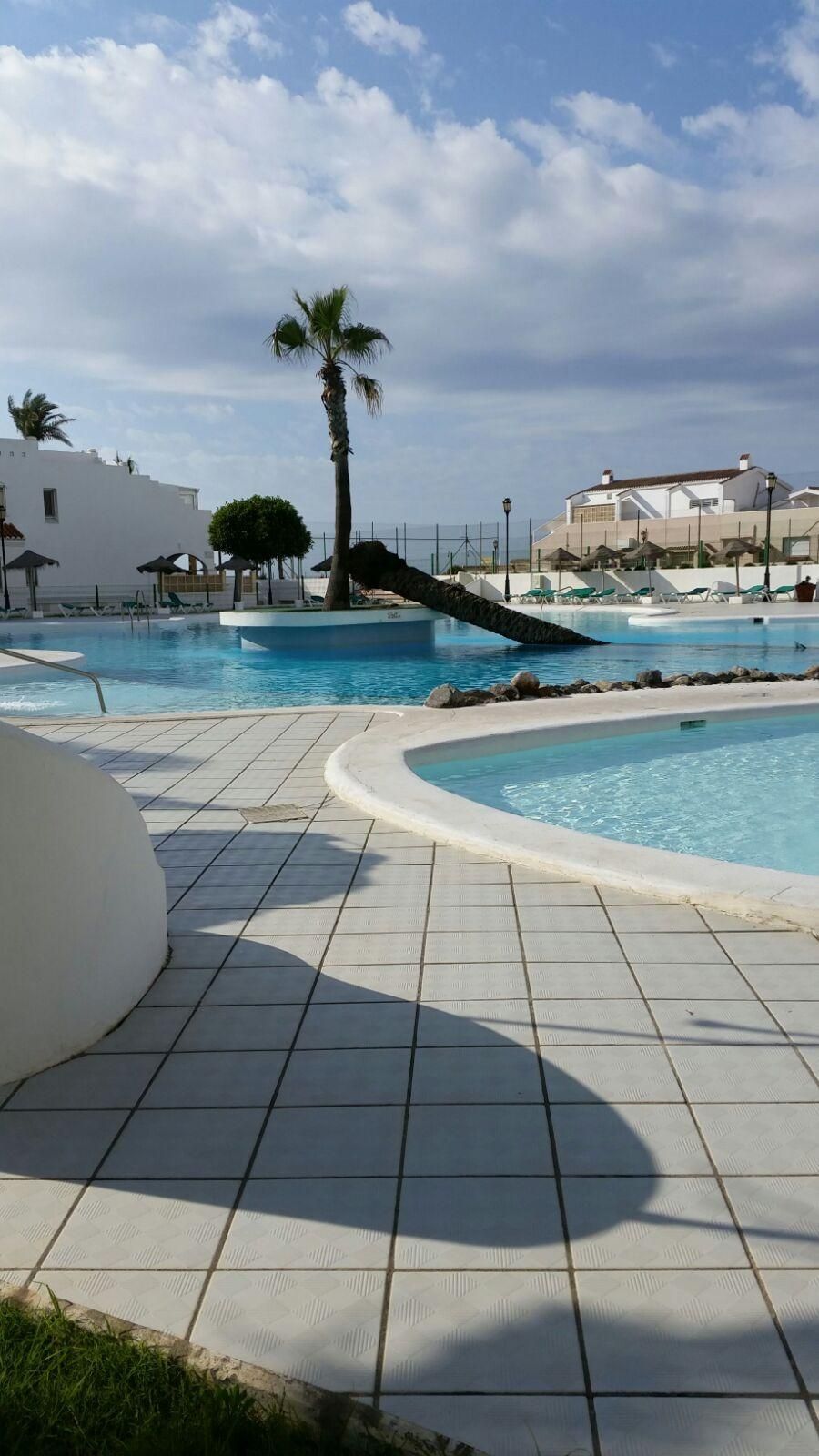 Swimming pool of Duplex for sale in El Ejido  with Terrace, Storage room and Community pool