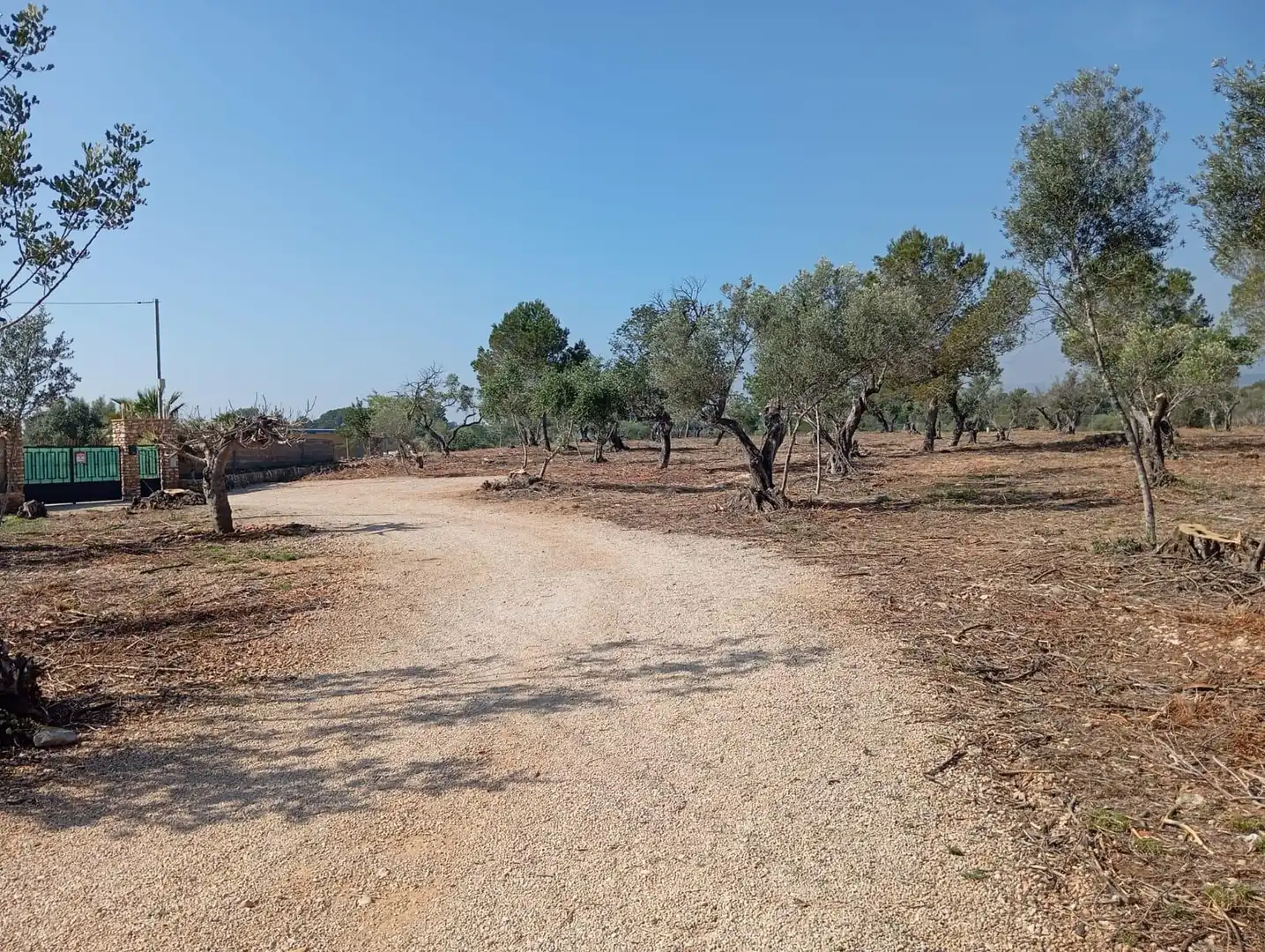 Finca rústica en venta en L'Ampolla