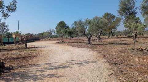 Foto 5 de Finca rústica en venda a Carrer Avinguda de Rafael Llaó Subirats, L'Ampolla, Tarragona