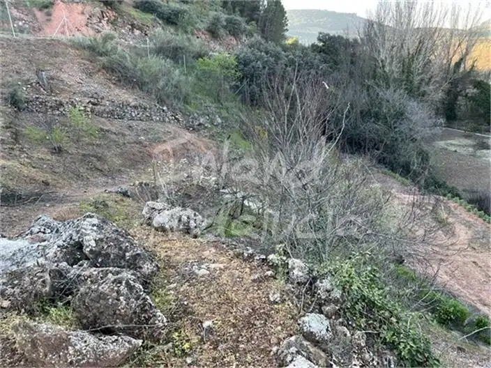 Terreni e lotti in vendita a Alcaudete, imagen 7