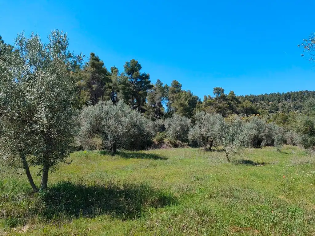 Terreni e lotti in vendita a Ráfales, imagen 4