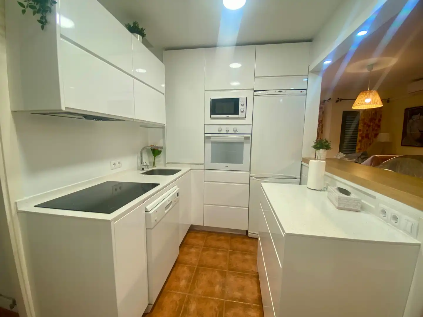 Flat with pool for sale in Atlanterra, imagen 11