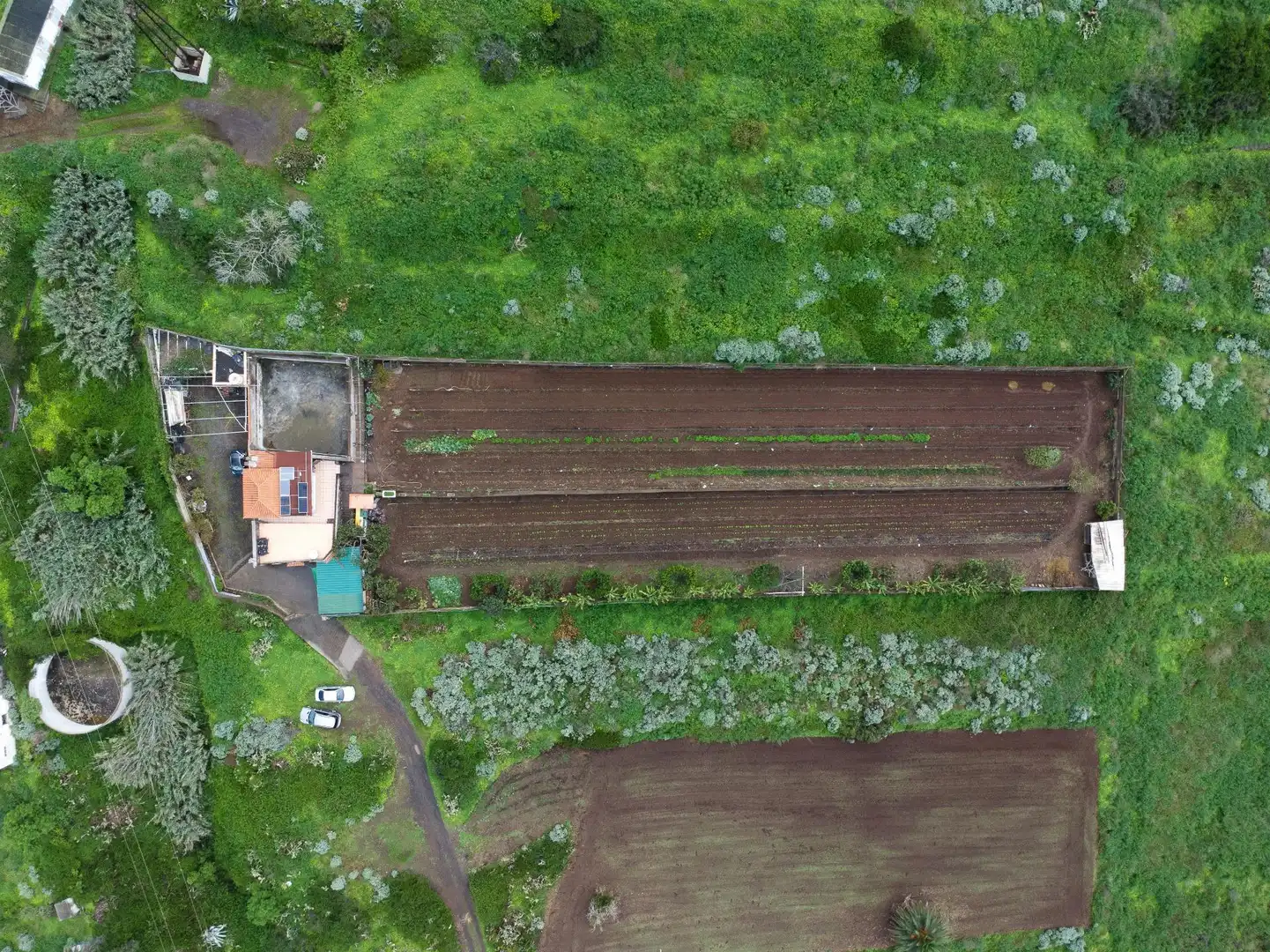 Jardín de Finca rústica en venta en El Sauzal