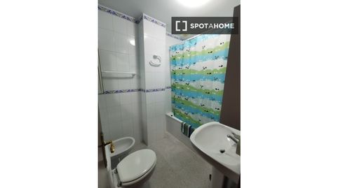 Foto 5 de Habitación en Conil, Conil de la Frontera