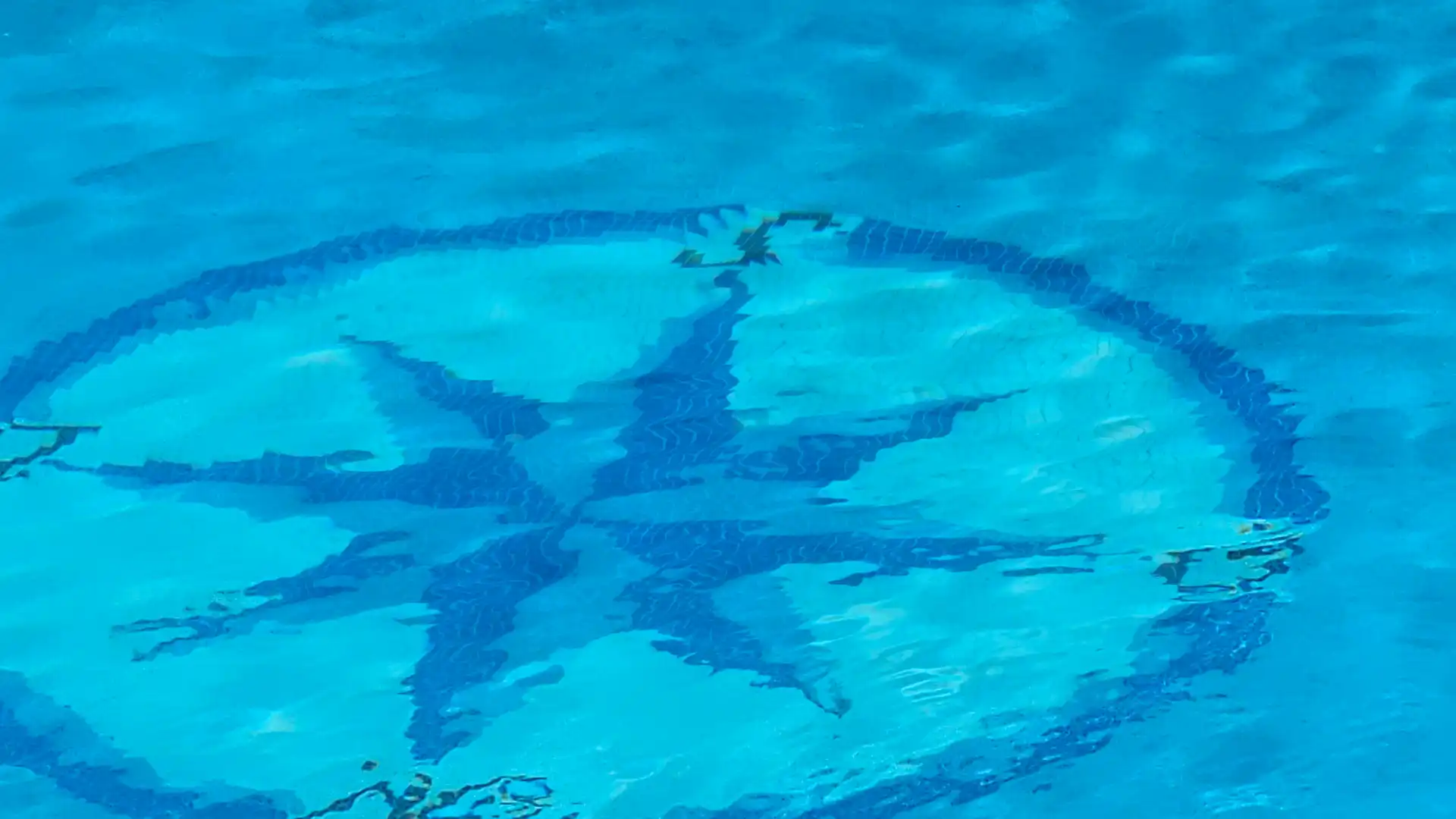 Schwimmbecken von Wohnungen zum Verkauf in Calvià mit Klimaanlage, Heizung und Privatgarten