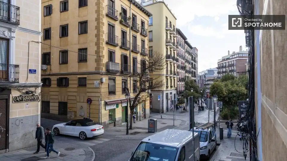 Room in Embajadores - Lavapiés