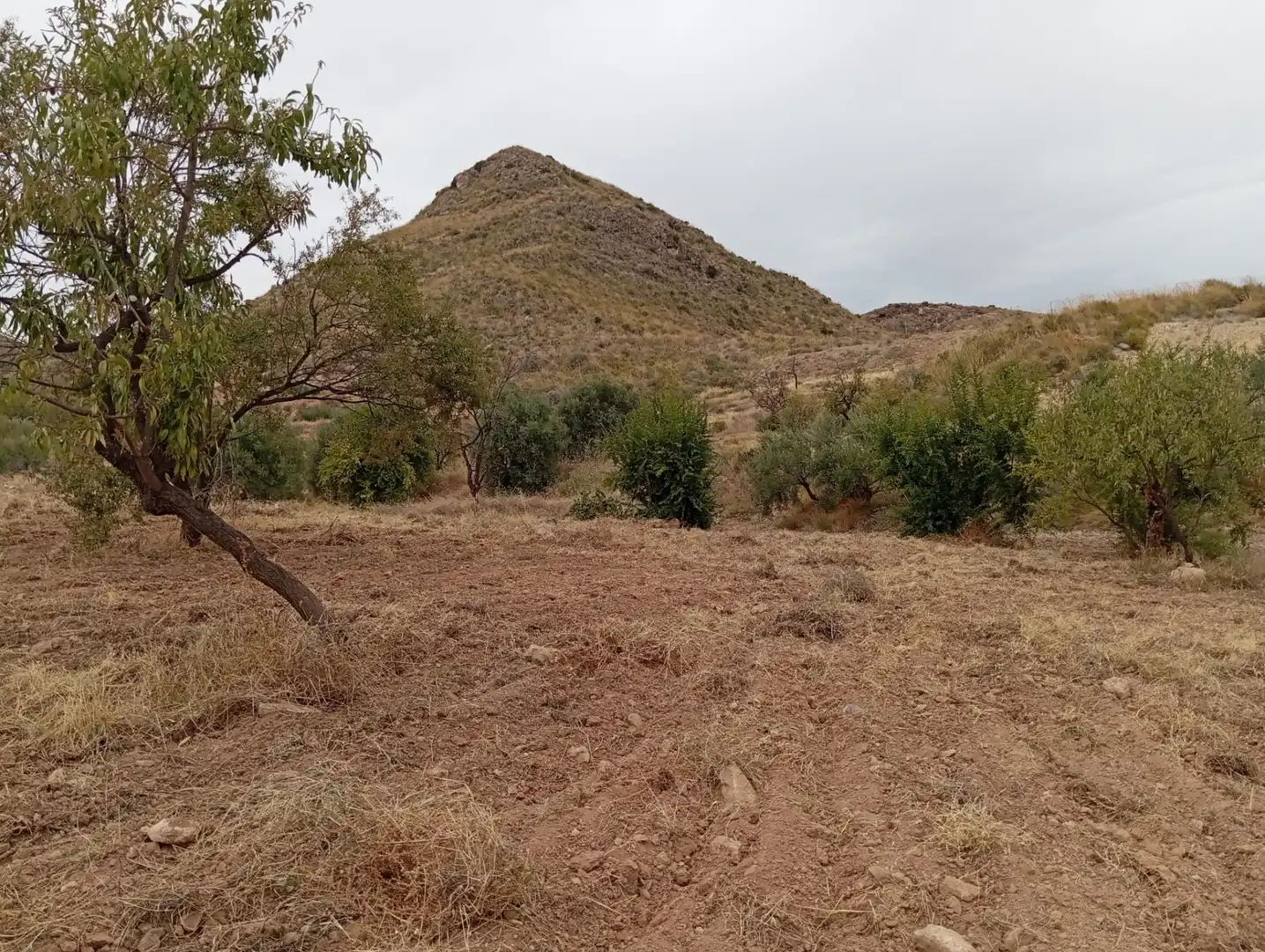 Terreni e lotti in vendita a Bolnuevo