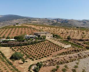 Jardí de Finca rústica en venda en Alcolea amb Aire condicionat, Terrassa i Piscina