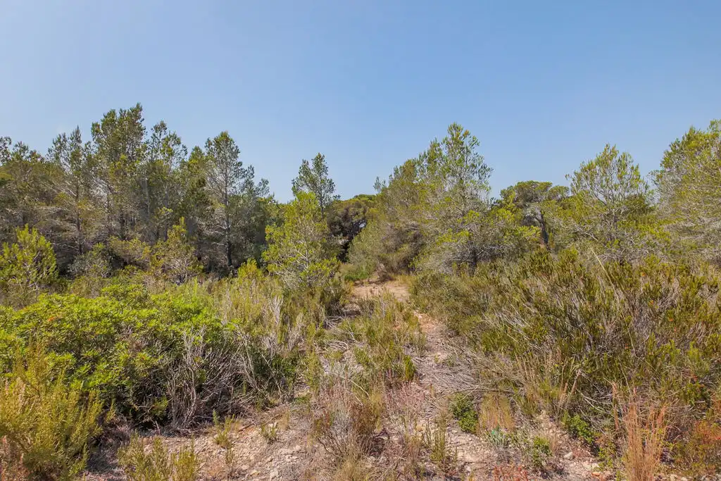 Terreno en venta en L'Ametlla de Mar 