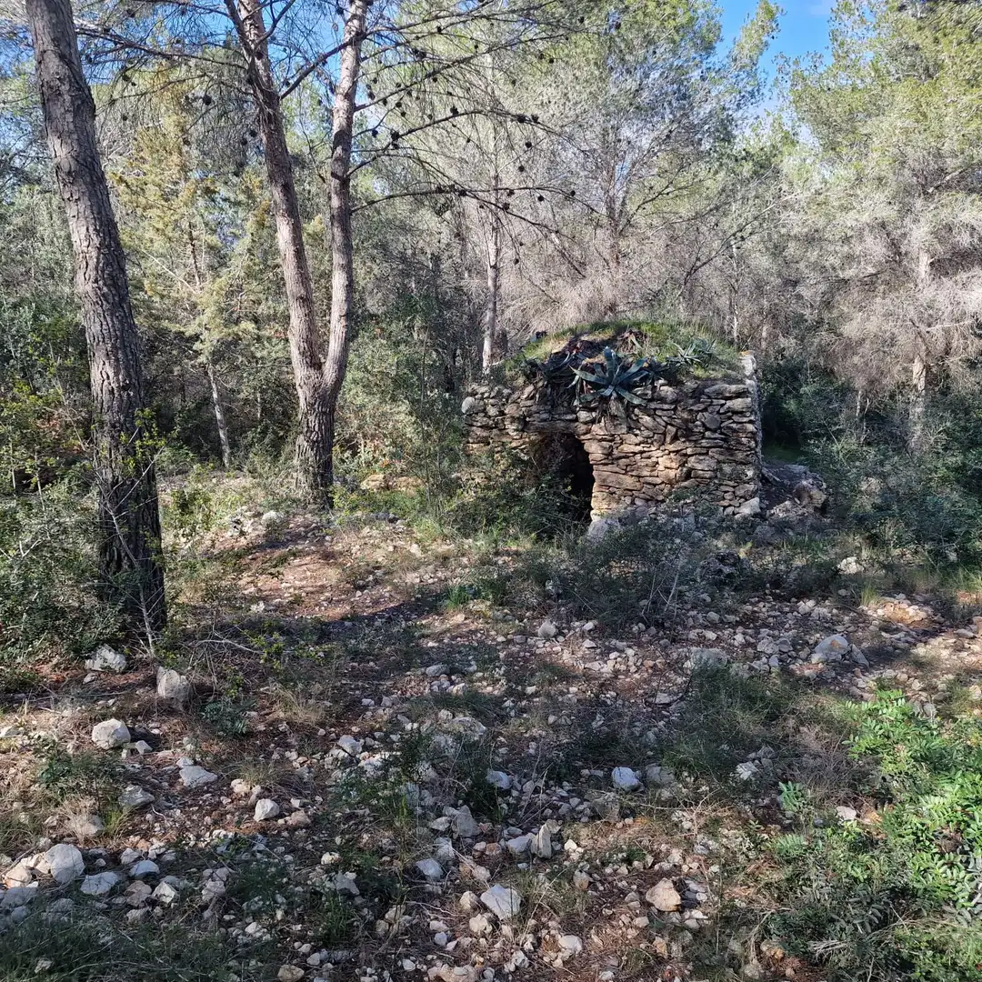 Terreno residencial en venta en Carrer Gessamí 18, imagen 28