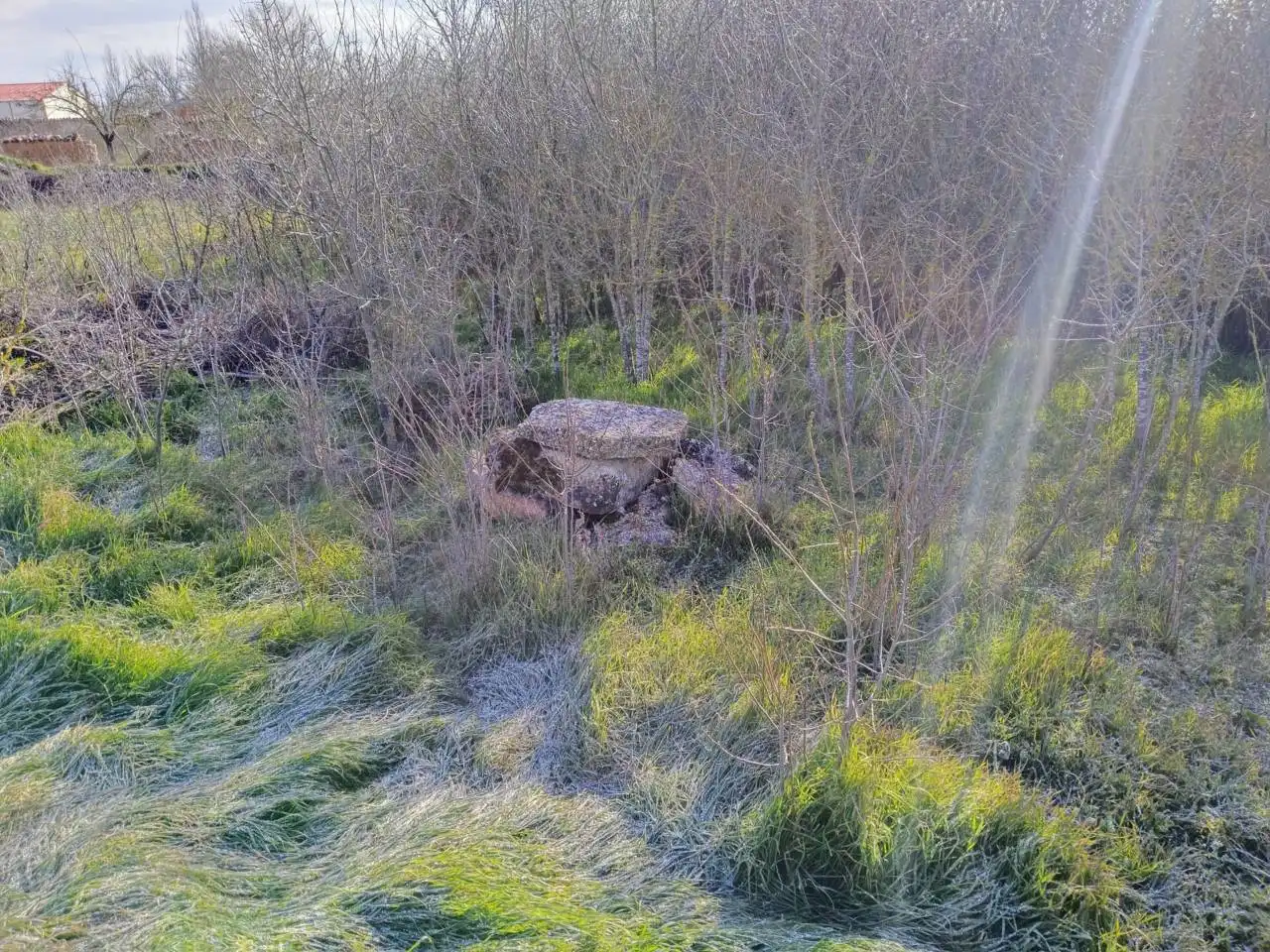 Terreno en venta en Grijalba