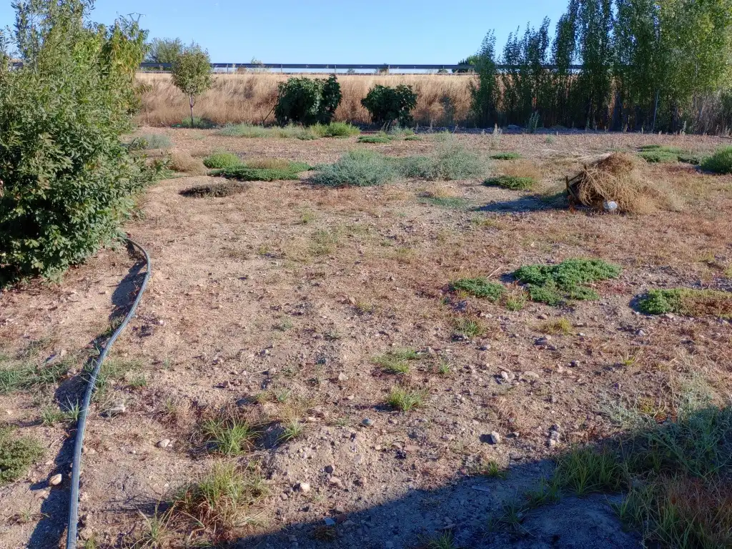 Xalet amb piscina en venda a Don Benito, imagen 29