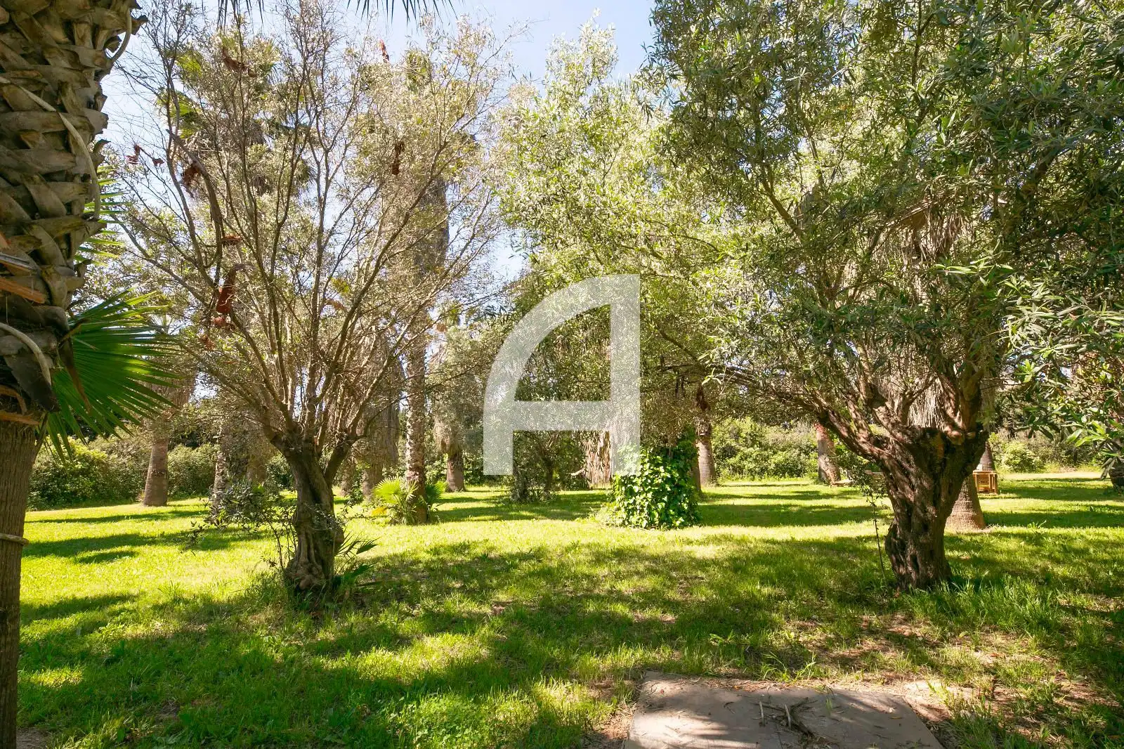 Jardín de Finca rústica en venta en Sant Boi de Llobregat con Terraza y Trastero