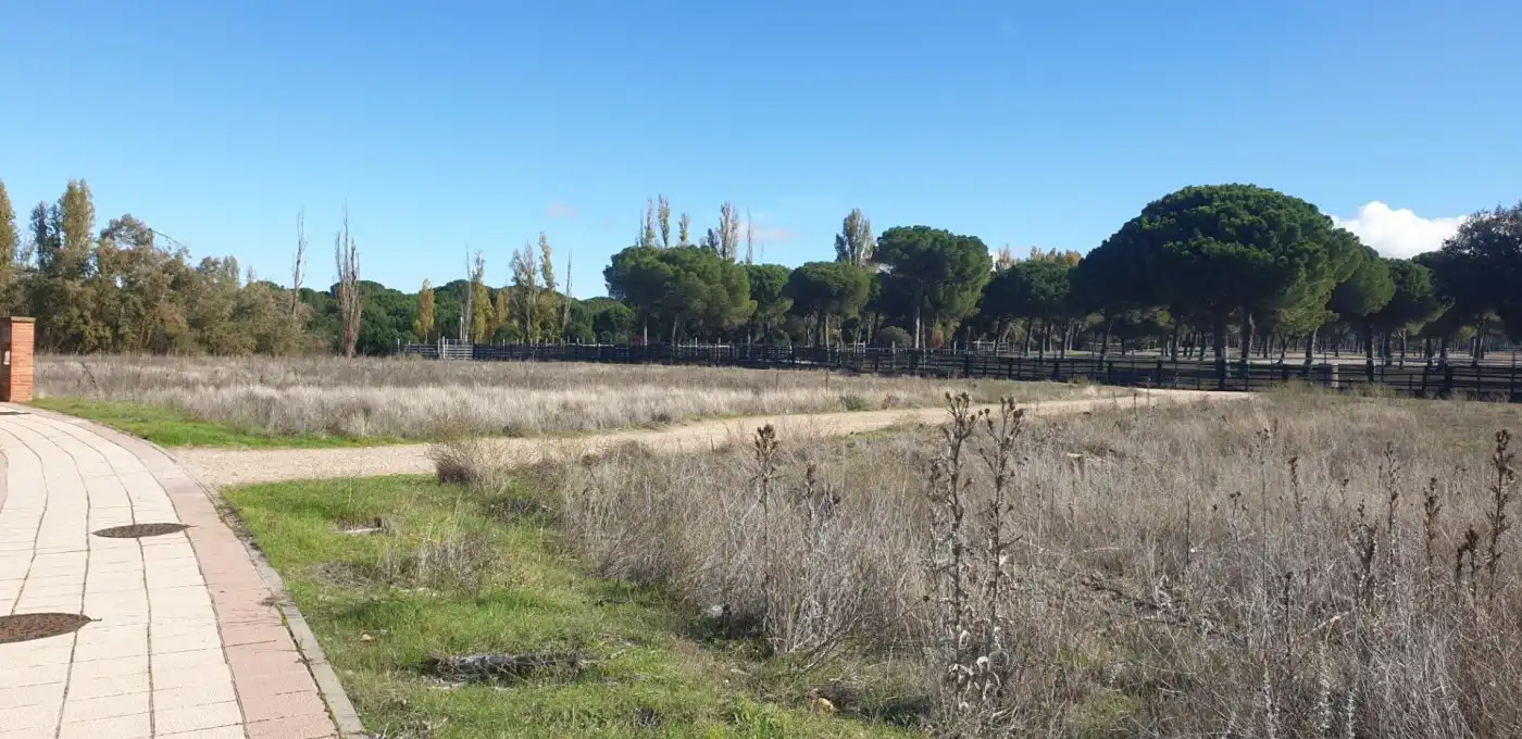 Terreni e lotti in vendita a Aldeamayor de San Martín, imagen 6