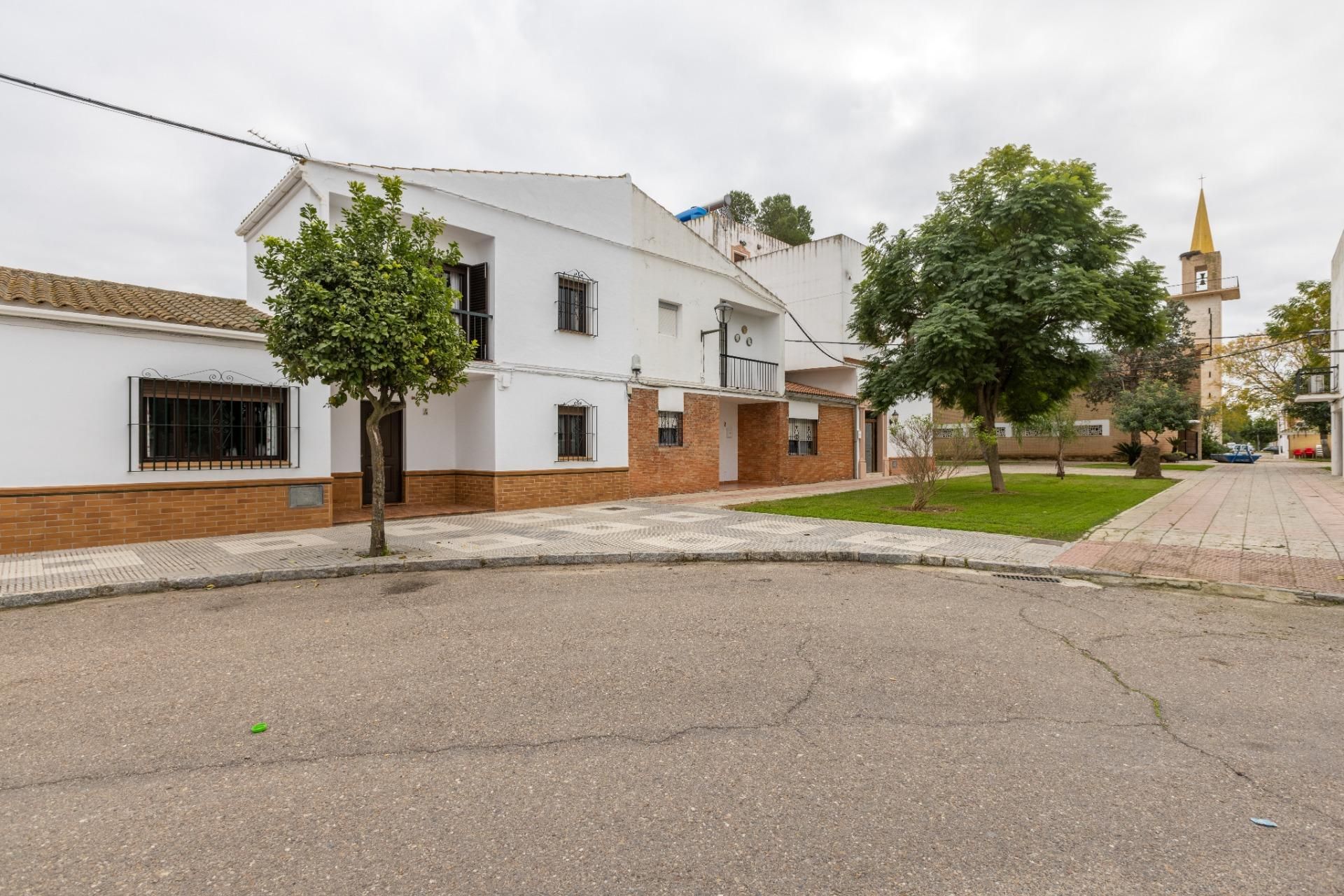 Vista exterior de Casa o chalet en venta en Los Palacios y Villafranca con Aire acondicionado, Calefacción y Jardín privado