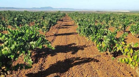Foto 2 de Finca rústica en venta en Valdelasierpe, Santa Marta, Badajoz