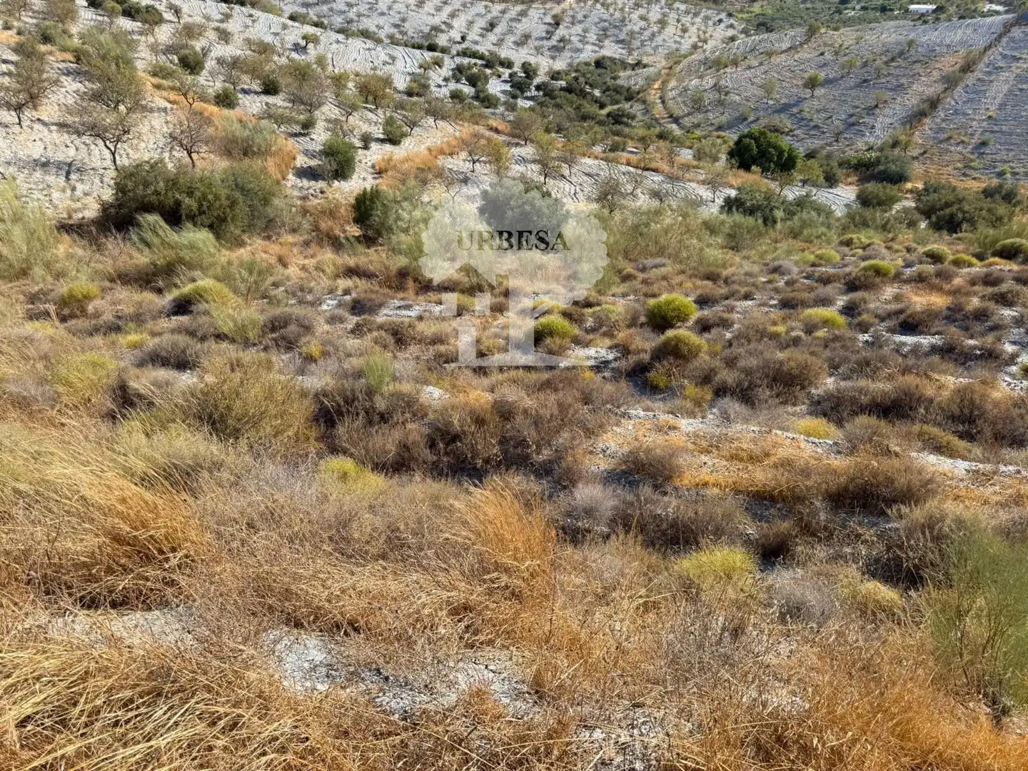 Grundstücke zum Verkauf in Vélez de Benaudalla