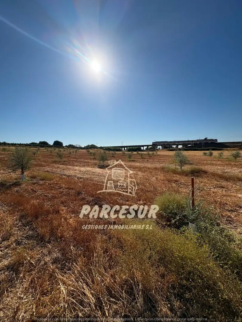 Terreno rustico in vendita a Periurbano Oeste - Sierra, imagen 15