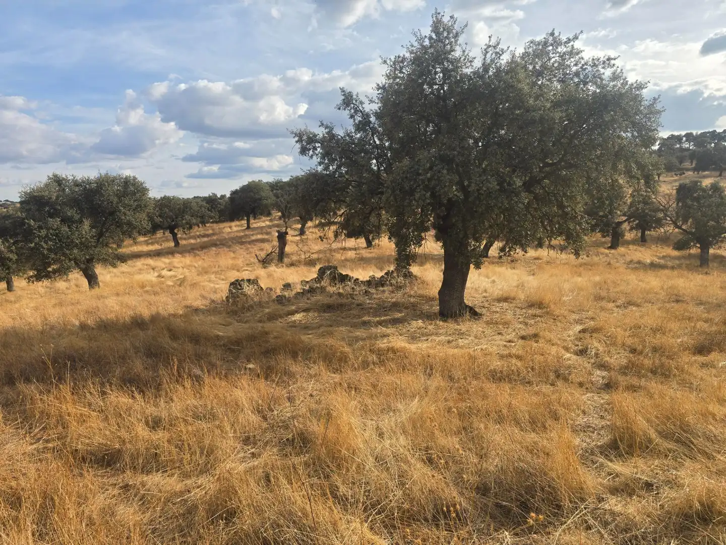 Country house zum Verkauf in Pedroche, Córdoba