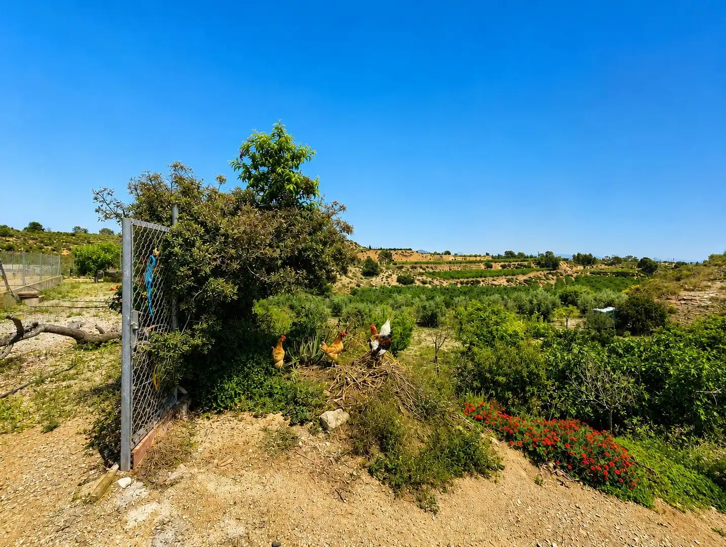 Houses for sale in Novelda  with Private garden, Storage room and Swimming Pool