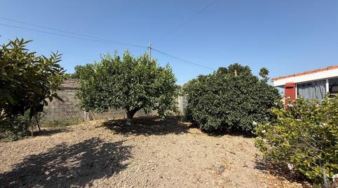 Foto 3 de Finca rústica en venda a Carretera de Sanlúcar - Sudamérica, El Puerto de Santa María