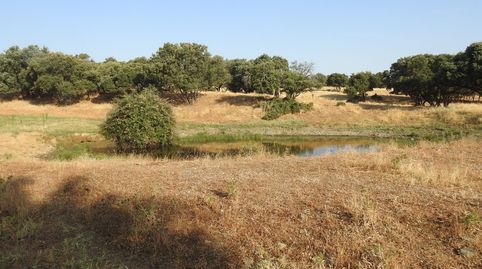 Foto 2 de Terreny en venda a Villar del Pedroso, Cáceres