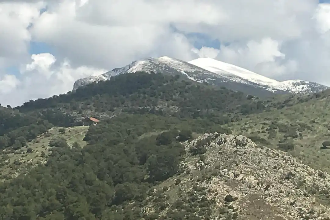 Terreni e lotti in vendita a Avda de Madrid - Pº de la Estación, imagen 33