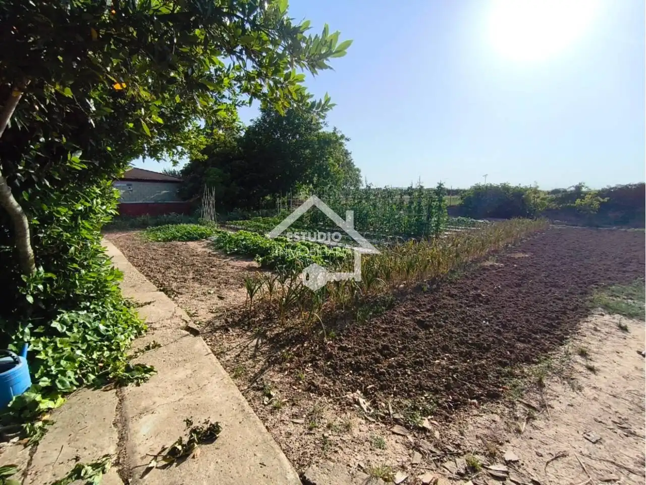 Rural land for sale in Calle carretera de la barca, imagen 35