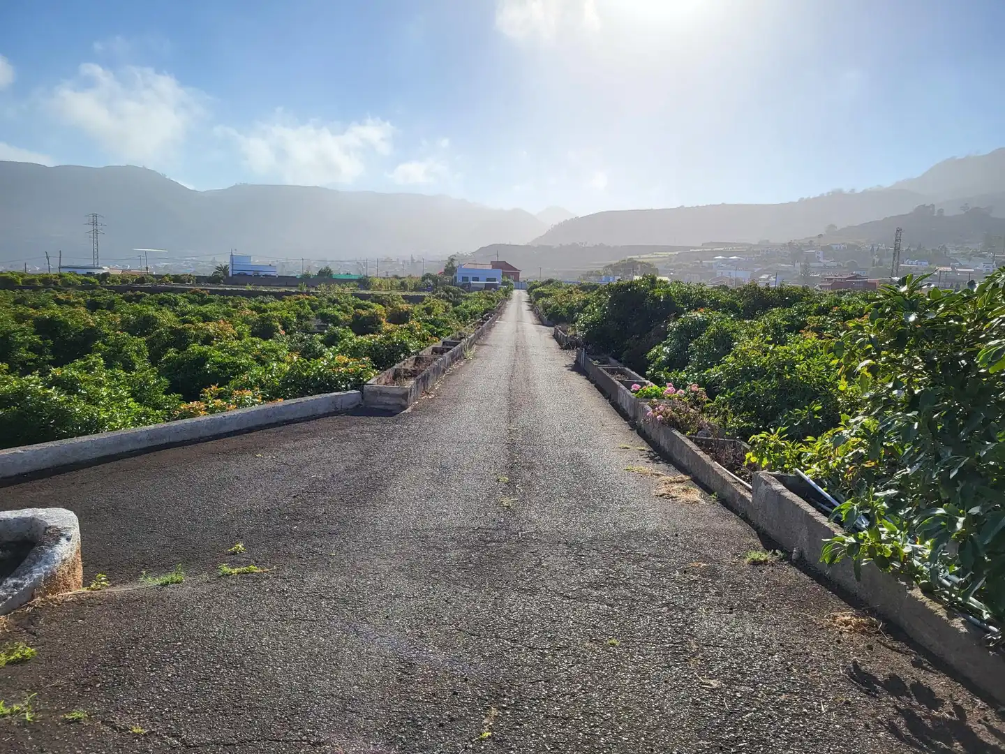 Vista exterior de Finca rústica en venta en Tegueste con Terraza, Trastero y Piscina