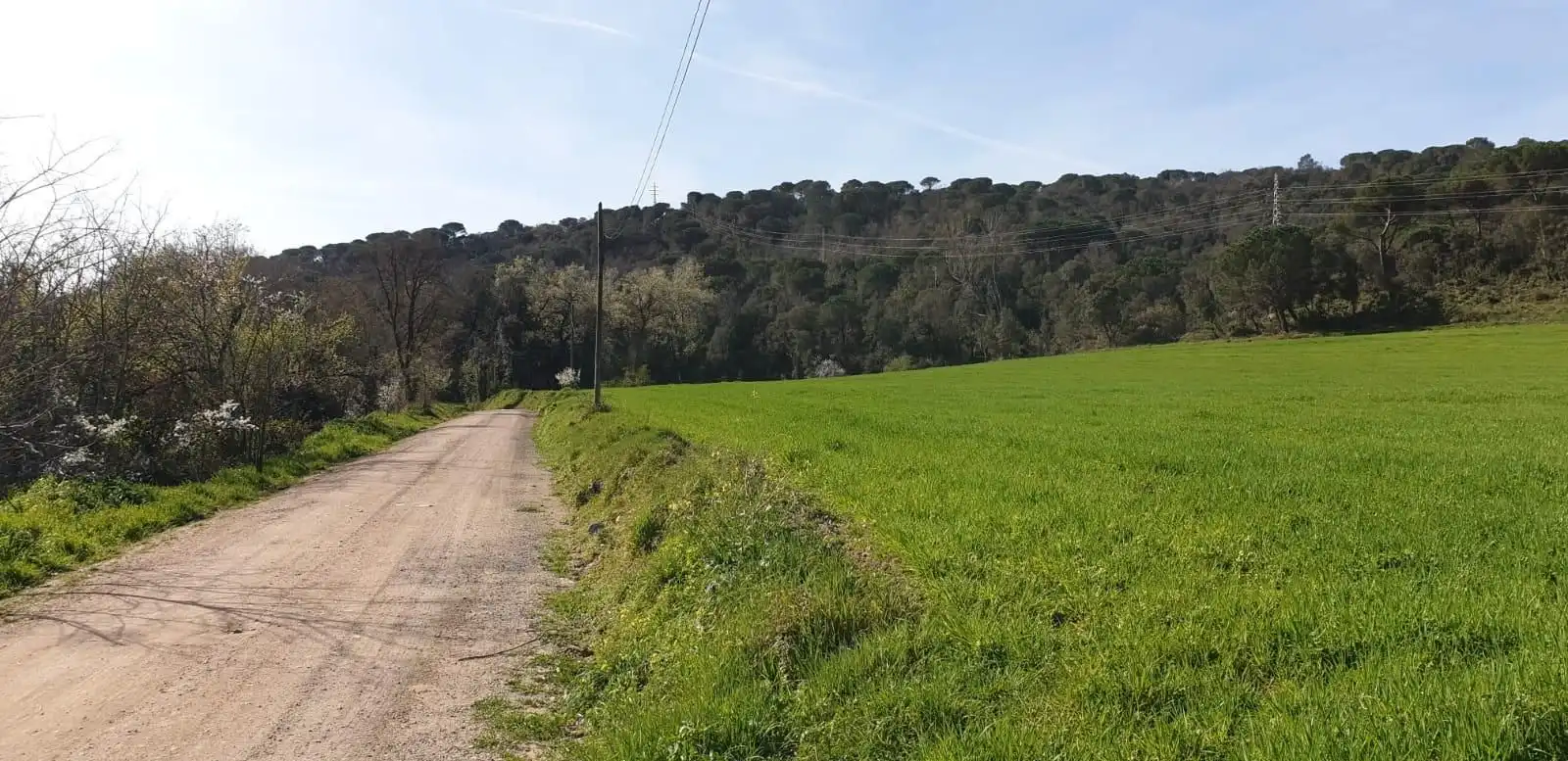 Finca rústica en venta en Sant Celoni