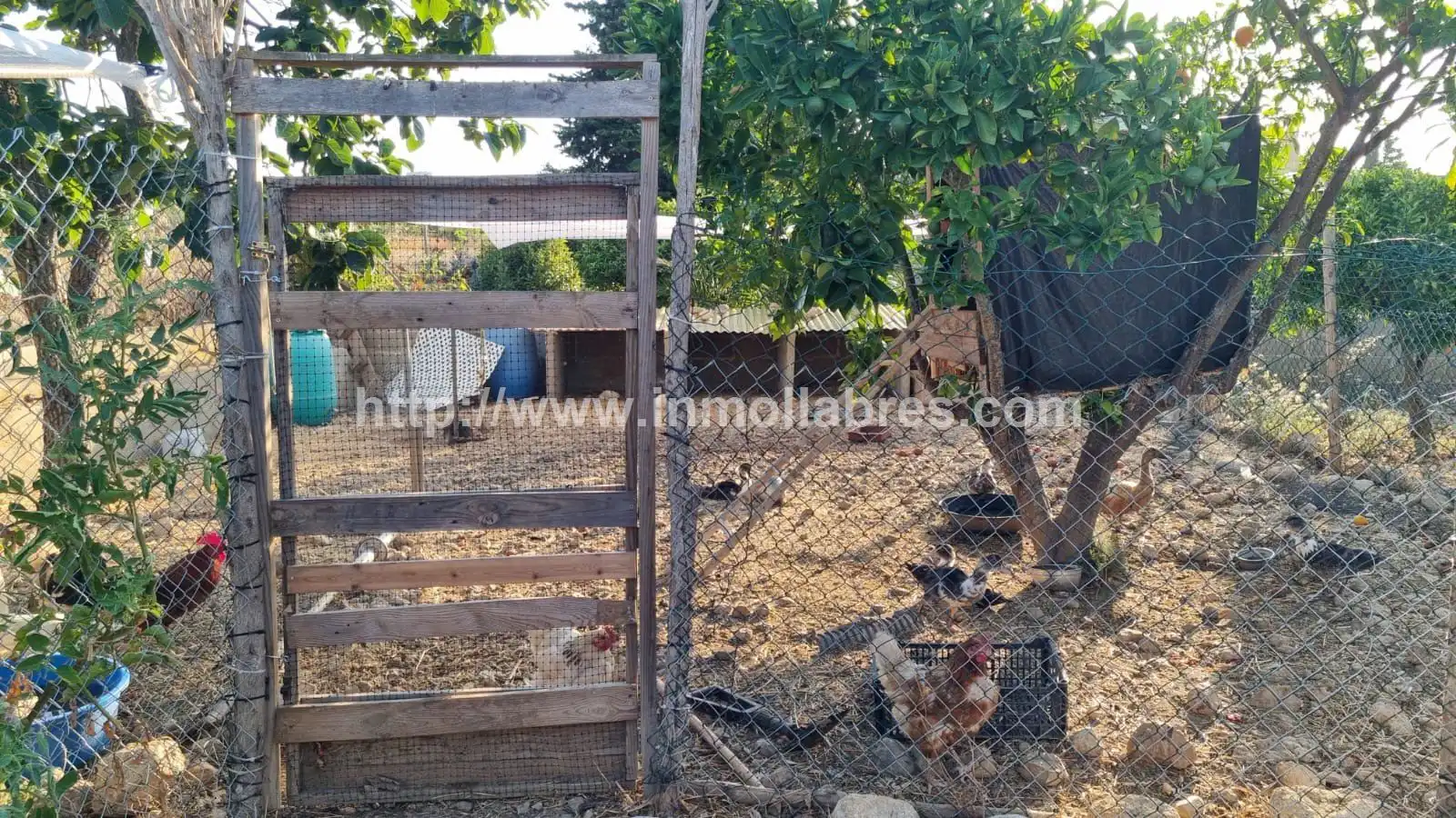 Maison rustique avec piscine à vendre à Selva, imagen 13