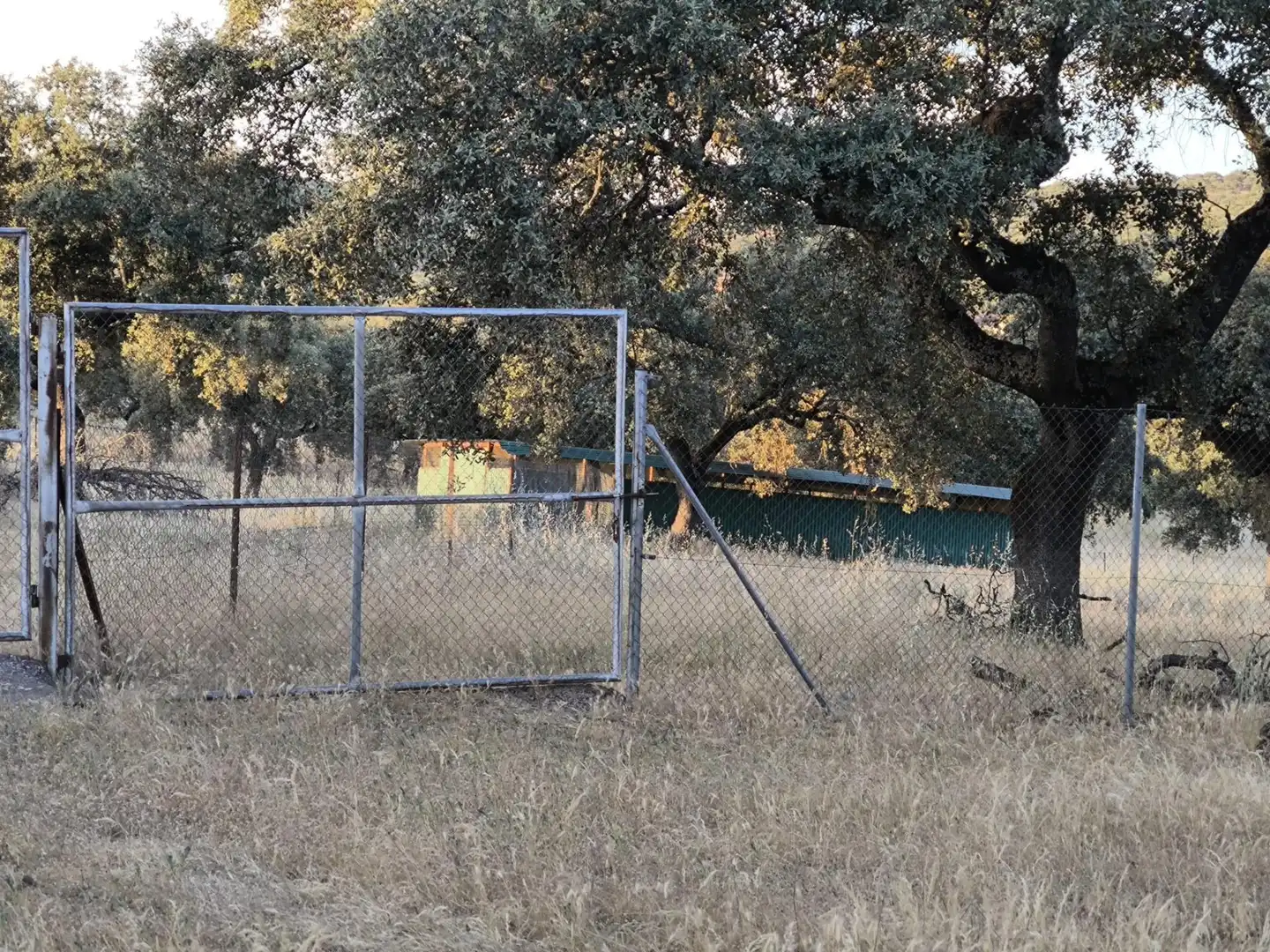 Rural land for sale in Fuente Obejuna, imagen 7