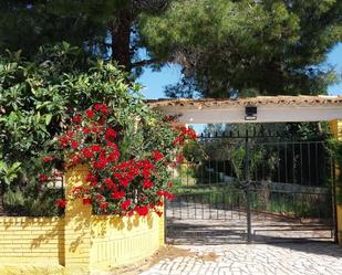 Garden of House or chalet to rent in Torrent  with Air Conditioner, Terrace and Storage room