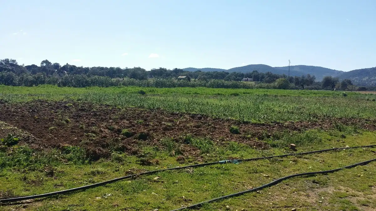 Terreno residenziale in vendita a Peñarroya-Pueblonuevo, imagen 11