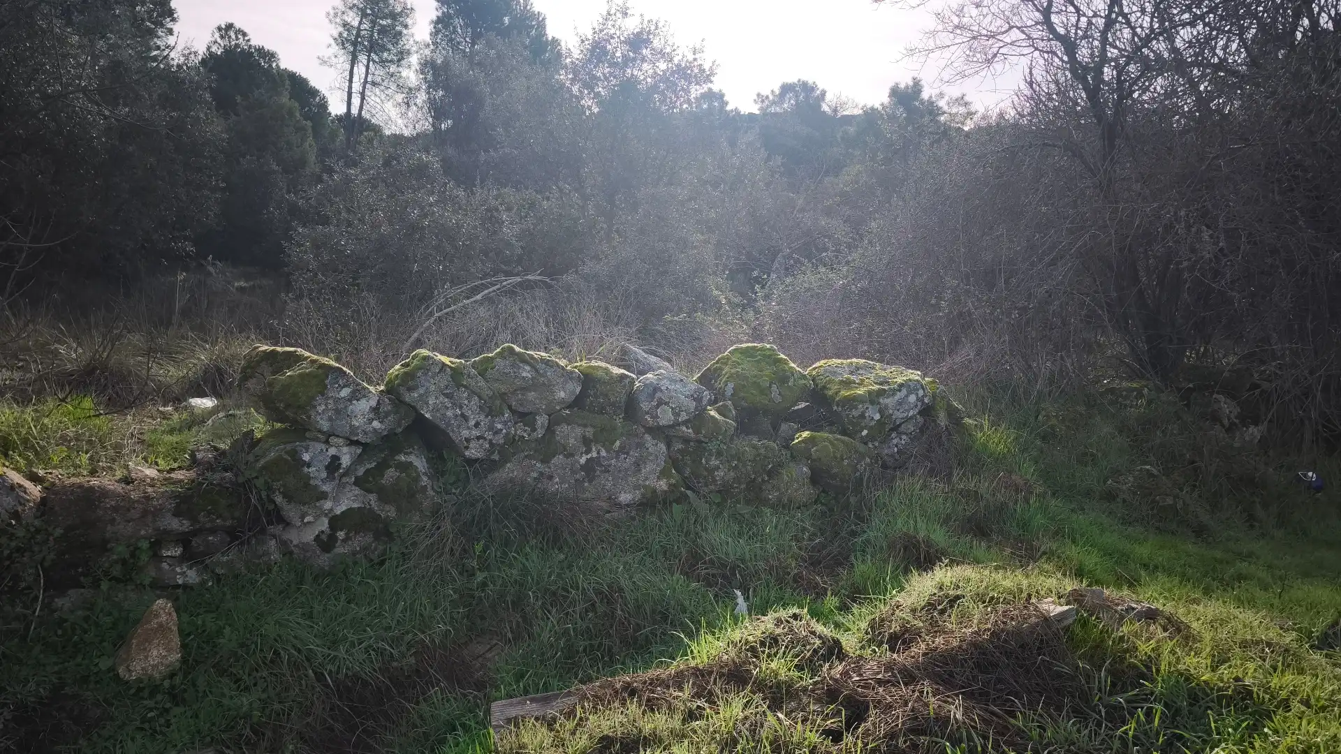 Terreni e lotti in vendita a Santa María del Tiétar, imagen 5