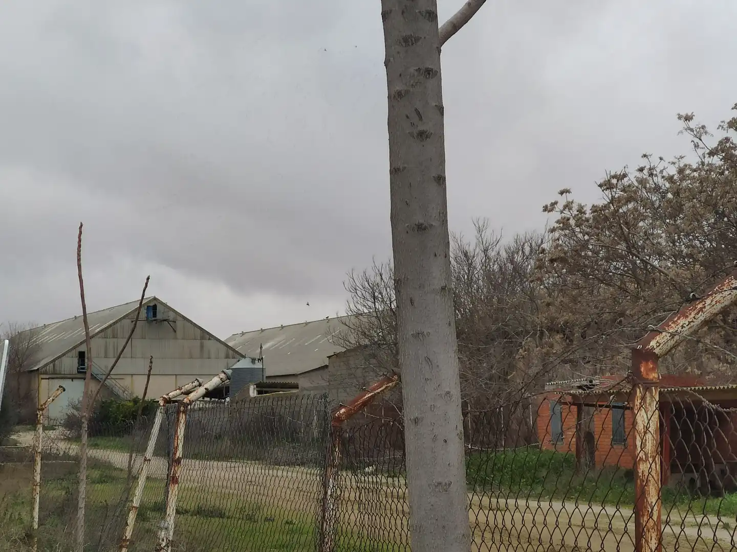 Local comercial en venda a Quintanar de la Orden, imagen 9