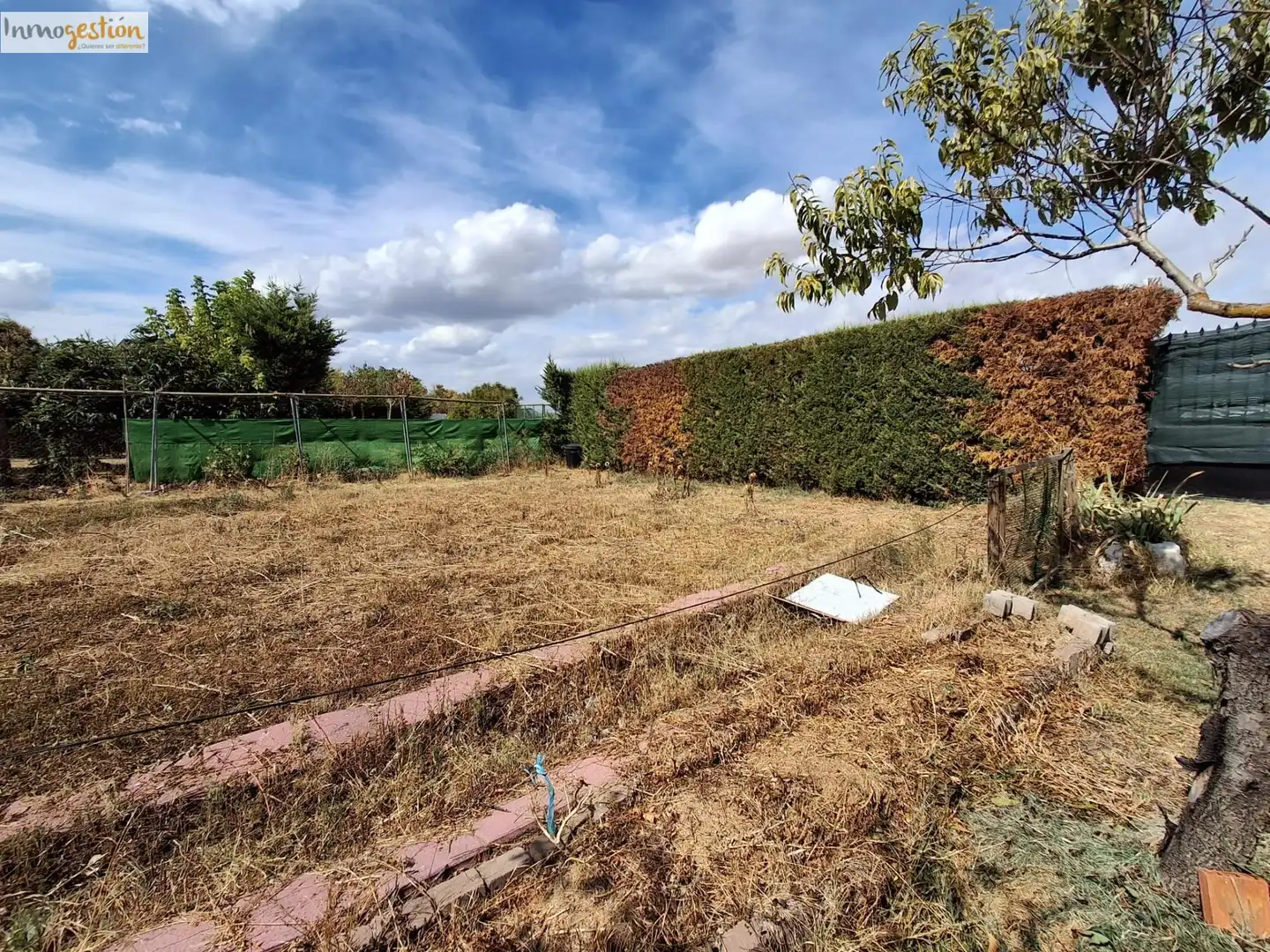 Terreno rustico in vendita a Tudela de Duero, imagen 12