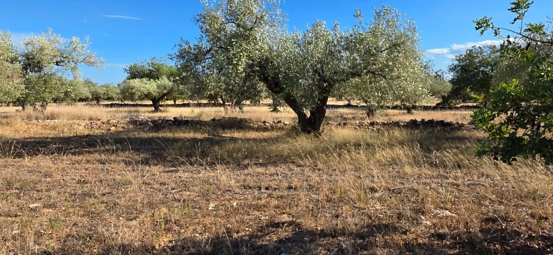 Casa rústica en venda a L'Ametlla de Mar pueblo, imagen 23