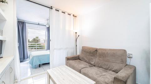 Photo 2 of Study for sale in Carrer Miguel Machado, Palmanova, Illes Balears