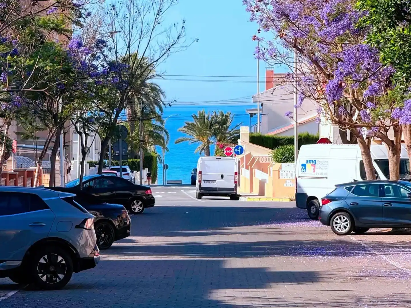 Exterior view of Detached homes for sale in Santa Pola  with Terrace