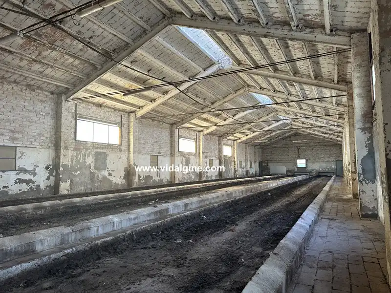 Industrial building for sale in Cami Barceloneta 5B, imagen 3